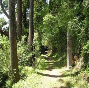 Nakagawa Ryokan - Image 5