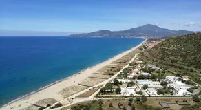 Alma Cilento - Image 3