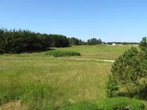 person holiday home in Skagen-By Traum - Image 2