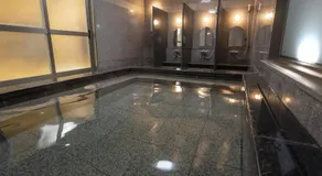 Hotel New Gaea Iizuka - Image 4