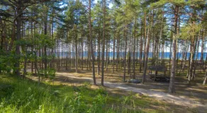 Puhkekeskus Valkla Rand- Simple accomodation - Image 4
