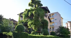 Apartman Wisteria - Image 4