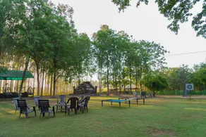 Inno Farms - Image 4