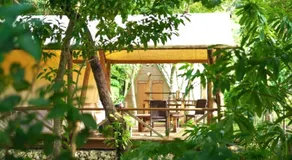 Ecostay Glamping Rainbow Forest - Image 5