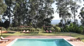 Vumba Agroturismo - Image 3