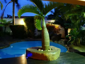Africa Regent Guest House - Image 4