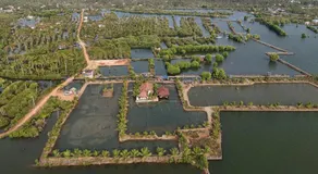 Kandal Theeram Farms - Image 5