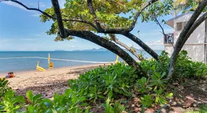Spindle Cowrie Apartments Palm Cove - Image 3