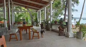 Bamboo Cottages - Image 5