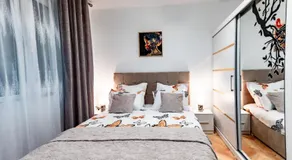 Luxury Riverside Apartment Băile Herculane - Image 2