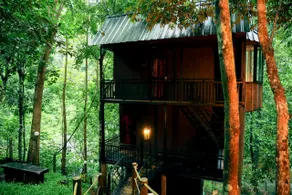 Ranches Jungle Beats - Image 2