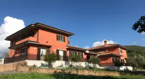 B&B Bee - Image 4