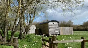 Jasmine Hut - Image 5