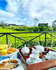 Villa Tea Fields - Free Breakfast, Just 4km from City, Near Lake Gregory - Image 4