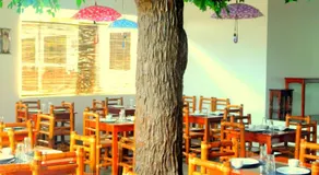 Oasis Resort and Spa - Image 3