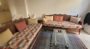 El jerbia - Image 4