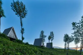 Triangle Valley - Image 4