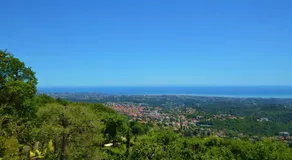 La Bastide des Pins - Image 5