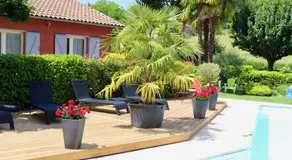 La casa color - Image 3