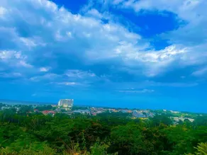 Majestic Supreme Ridge Cott - Image 5