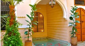 Riad Rabahsadia - Image 4