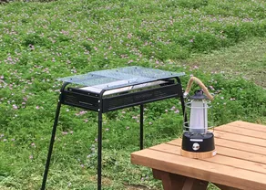 Field father - Image 2