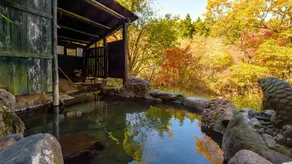 Sujiyu Onsen Kujyu Iyashi no Sato Hotel Dai Kogen - Image 3