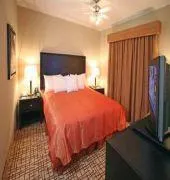 Gamma Torreon - Image 3