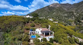 El Nido Frigiliana - Cortijo Tito Manuel - Image 5