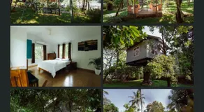 Peninsular wood Resort - Image 2