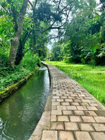 Masakali Retreat - Image 5