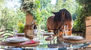 Origine Country Farm - Image 3