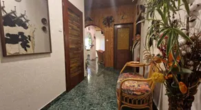Apartment with BBQ in Balatonlelle 55116 - Image 4