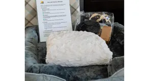 Pet-friendly Apt in Quiet Chula Vista Neighborhood - Image 2
