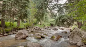 Cute 2 Bedroom East Vail Condo #1202 with Shuttle - Image 3