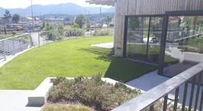 Luna Blu - Image 4