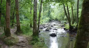 Domaine de l'Etre - Image 5