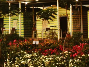 Paradise Tent Resort - Image 5