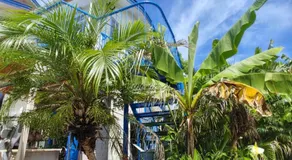 Guest House Churaumi - Image 2