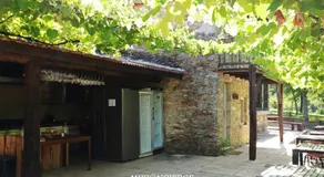 Moleiro da Costa Má - Image 4