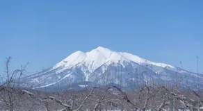 フラワーガーデンミミ お花屋が営む一棟貸し宿 - Image 3