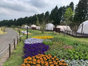 Kuju Flowerpark Camping Resort Flowers And Stars - Image 5