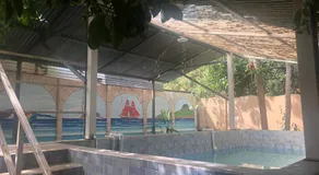 Tucan - Image 3