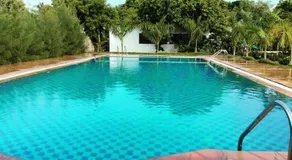 Paradise Forest Resort - Image 3