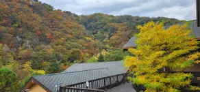 Yeongwol Sunset River Mulsori Pension - Image 2
