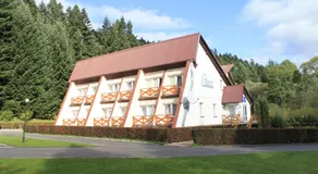 OW Wisan - Image 3