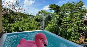 B tree Retreat homestay - Image 3