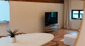 Spacious, newly renovated loft - 107m2 - Image 5