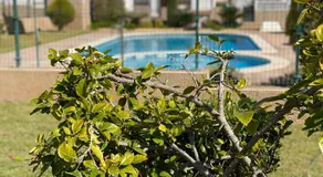 La Cinuelica R14 1st Flr Apt Terrace Pool L120 - Image 5