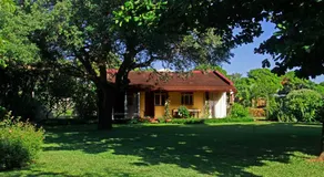 Ancha's Oasis - Image 5